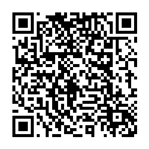 张毅可不敢将海军大学这样重要的事情全部寄托于威尔逊这样的外国人身上二维码生成