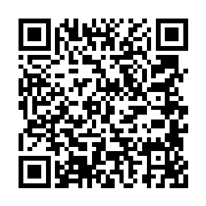 张毅必须要有一个自己信得过的人把控全局才行二维码生成