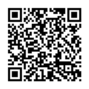 张毅相信这批军兵的战力会不次于左宝贵的部队二维码生成