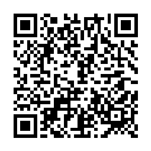 张治国就站在省委办公大楼二楼电梯口迎接陈观二维码生成