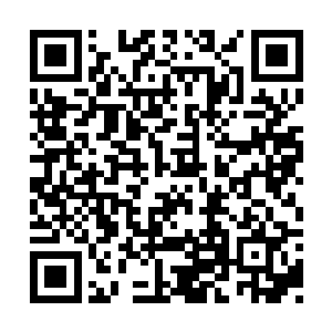 张海生的话让得不少村民脸上露出而来犹豫之色二维码生成