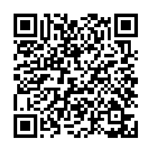 张涛和赵长天望着面前的两位已经成为灵魂奴仆的仙士二维码生成