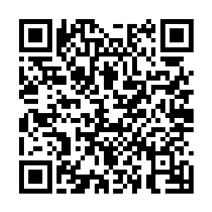 张淼这个时候突然说道然后抓着靳空的手往前一推二维码生成