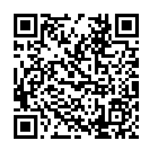 张潇晗不会对风凌子或者巨龙真的动用怜悯之心的二维码生成