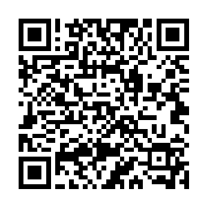张潇晗也不再自以为是地根据名字判定它们的攻击性了二维码生成