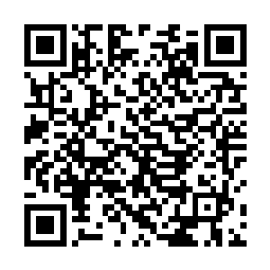 张潇晗也不想参与到范筱梵和巫行云之间去留的事情上二维码生成