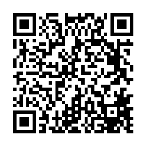 张潇晗也注意到每层城墙之间的通道还有金甲修士守候二维码生成