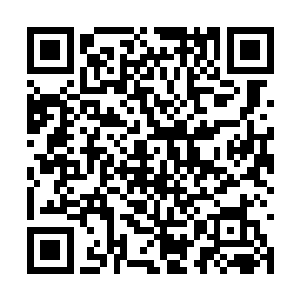 张潇晗乱飞的长发掩盖的双眸竟然渐渐恢复的清明二维码生成