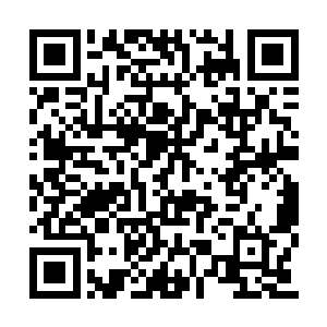 张潇晗从储物戒指里拿出六块新的上品灵石换上二维码生成