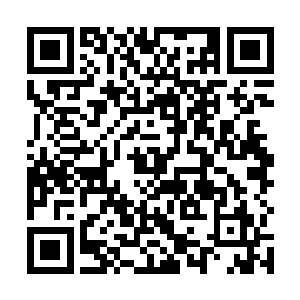 张潇晗便无所顾忌地将张涛的肉身从灵兽袋里释放出来二维码生成