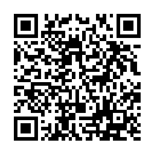 张潇晗分明看到鸢尾司眼神里的笑意和白道友善意的目光二维码生成