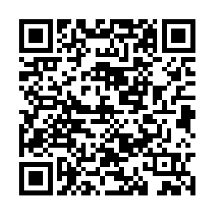 张潇晗化为利剑的神识先一步与沐随风的神识碰撞二维码生成