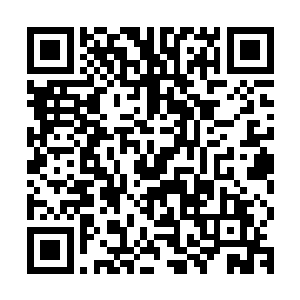张潇晗发现自己差一点就被这莫名的无法形容的气味拉倒梦魇中二维码生成