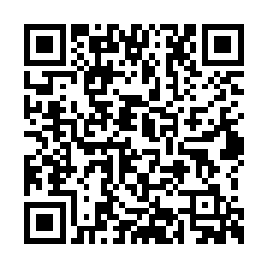 张潇晗和小宝火狐再次通过传送阵回到水域域内二维码生成