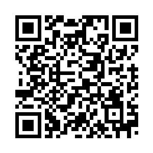 张潇晗和小宝的神识交流才停下来二维码生成