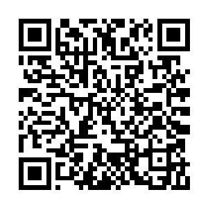 张潇晗和木槿还有三位大妖就都好像被她看到了二维码生成