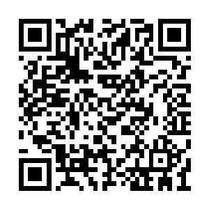 张潇晗就已经把靳翱排除在飞升修士的行列里了二维码生成