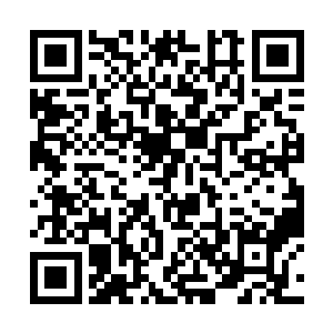 张潇晗并不想领宋辰砂到她那次杀死赵文斌的洞府去二维码生成