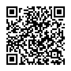 张潇晗并不觉得她先于别的修士进来四日多有什么优势二维码生成