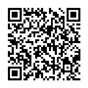 张潇晗当然不能将禁制实际上的情形完全描述出来二维码生成