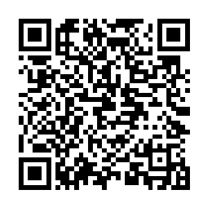 张潇晗战胜苗云苏与倬凡尘的过程也被绘声绘色地流传出去二维码生成