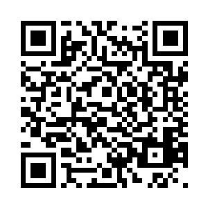 张潇晗把玩了一下这个火焰兽的内丹二维码生成