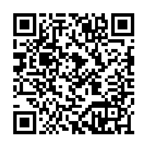 张潇晗望着被震碎的噬金蚁心疼得简直要跳起来二维码生成