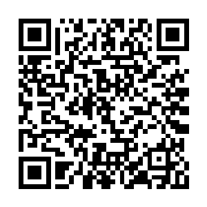 张潇晗渐渐发觉很多修士在不怀好意地注视着她二维码生成