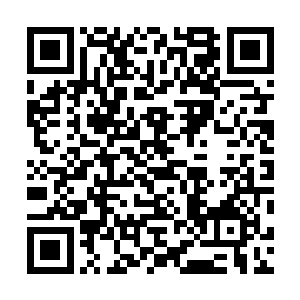 张潇晗的储物手镯内专门有一个储物戒指里堆放的是食材二维码生成