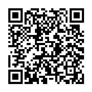 张潇晗的心里压根就是把龙骨当做一种生物的遗骸二维码生成