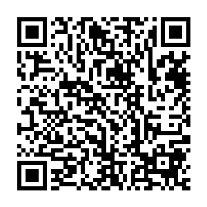 张潇晗的意思就是每隔几年选拔出一批修为不同修士横穿妖兽森林二维码生成