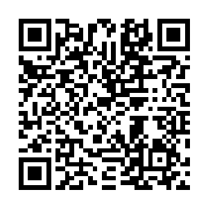 张潇晗的神识原本就要远远超出修神期修士不知道多少了二维码生成