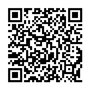 张潇晗的神识早在她脱离瘴气的时候就释放出来二维码生成