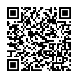张潇晗的第三只眼在进入到地下的一刻就已经张开二维码生成