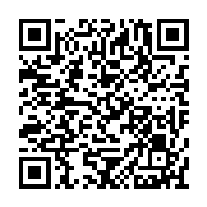 张潇晗的身边实力强大而又信得过的就这么几人二维码生成