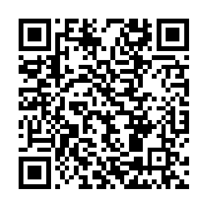 张潇晗神识内的印记不断带来强烈的离开维希城的暗示二维码生成