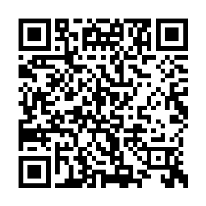 张潇晗离开凶兽生活区域就加快速度赶路的原因二维码生成