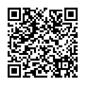 张潇晗站在街道的中心显然阻拦了兽类行进的路线二维码生成