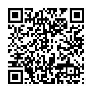 张潇晗竟然不知道五行飞剑还可以被紫气操控转化二维码生成