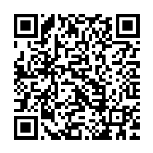 张潇晗笑着看着如此英气逼人的修士被逼得和她一般如此的动作二维码生成