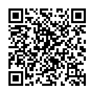 张潇晗脑补了脑海里那只威风的大鸟甩甩身上长翎坐的样子二维码生成