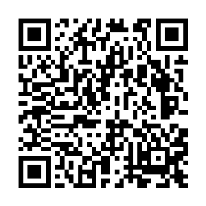 张潇晗自己也回忆了她从飞升之后购买的玉简书籍二维码生成