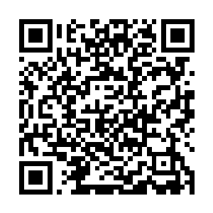 张潇晗身上那种让小宝不舒服升起敌意的感觉就消失了二维码生成