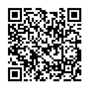 张潇晗还是可以理解凡人和人修的生活态度和方式二维码生成