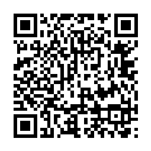 张潇晗还有意拿出几根万年灵药来一同摆在桌面上二维码生成