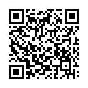 张潇晗这一天下来就是近三十块仙石了二维码生成