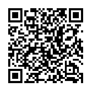 张潇晗逐渐忘记了她已经举起了几十下大锤而没有休息二维码生成