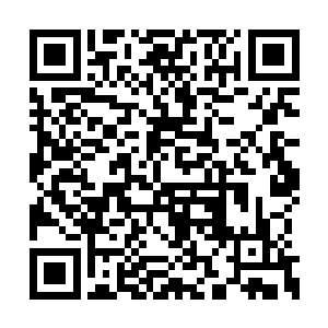 张潇晗默默地体验着那种不得不面对死亡的残酷二维码生成