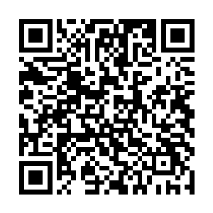 张猛只想做在另一个世界不敢想也不敢做的那些事情二维码生成