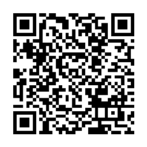 张璐涵一边说着话眼睛一边直勾勾地看着雅文和小秋二维码生成